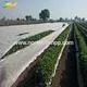 agriculture non woven fabric supplier